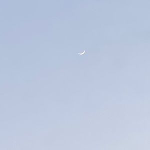 Meet your Posher, Tatum